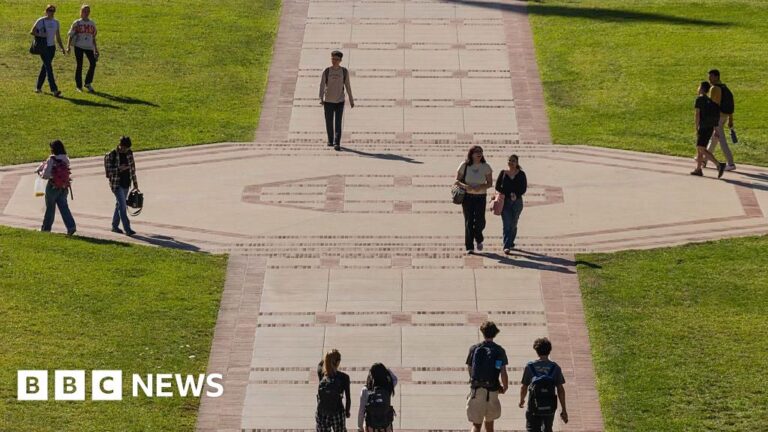 New international student enrolment drops 17% at US universities