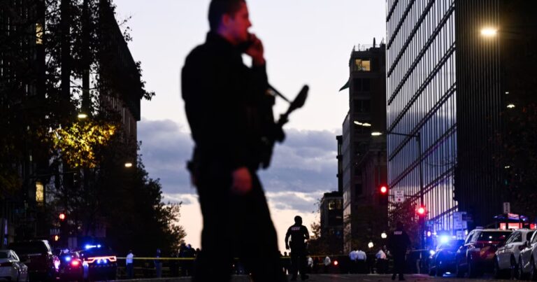 US Halts Afghan Immigration Requests After D.C. Shooting