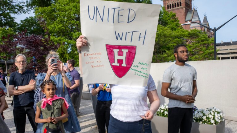 US sees steep decline in new international student enrollments