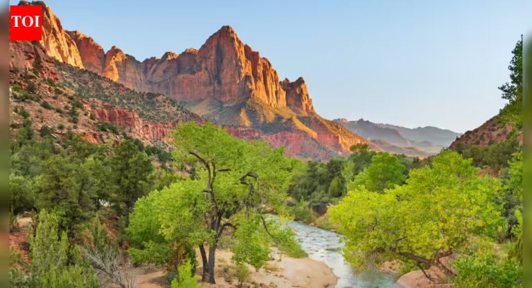 ‘Charge H-1B, F-1 visa holders’: Row erupts as Interior Department reforms national park fees; US residents to pay $80, non-residents $250