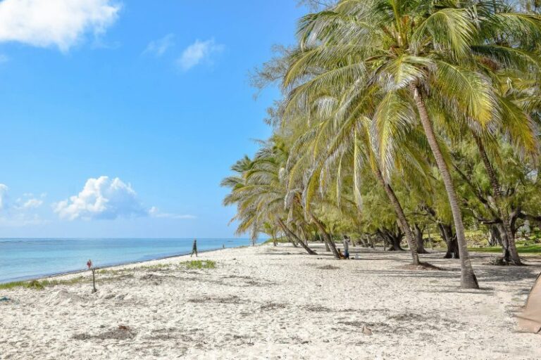 GREAT DEAL 💥 Last minute full-service flights from Poland to Mombasa, Kenya 🌴 for €376