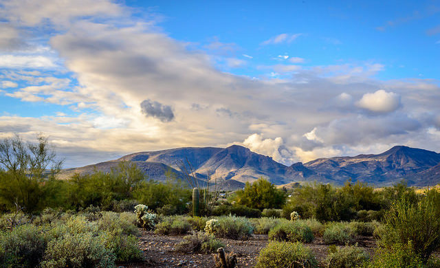 Portland – Phoenix (and vice versa). $91 (Basic Economy) / $171 (Regular Economy). Roundtrip, including all Taxes – The Flight Deal