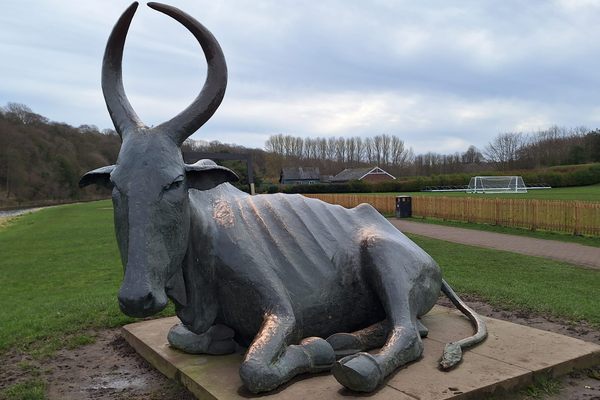 The ‘Durham Cow’ in Durham, England